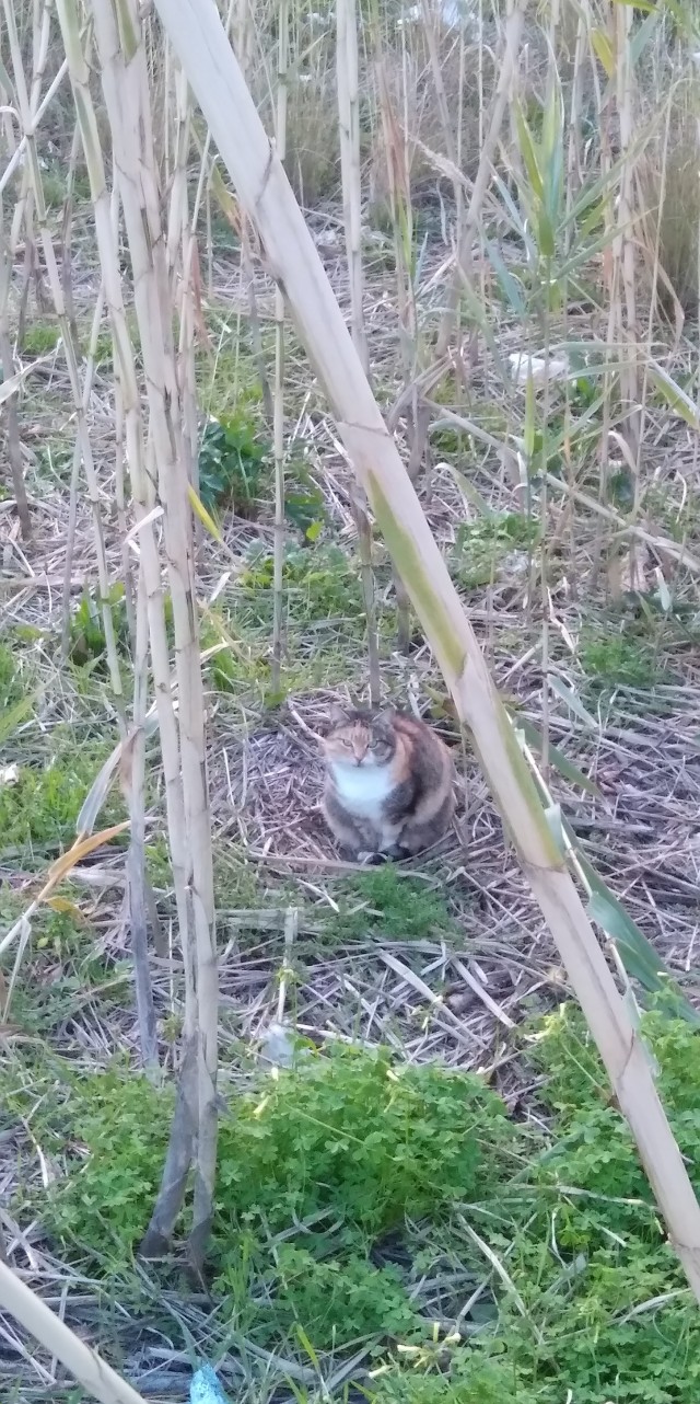Это не меня заперли с вами, это вас заперли со мной