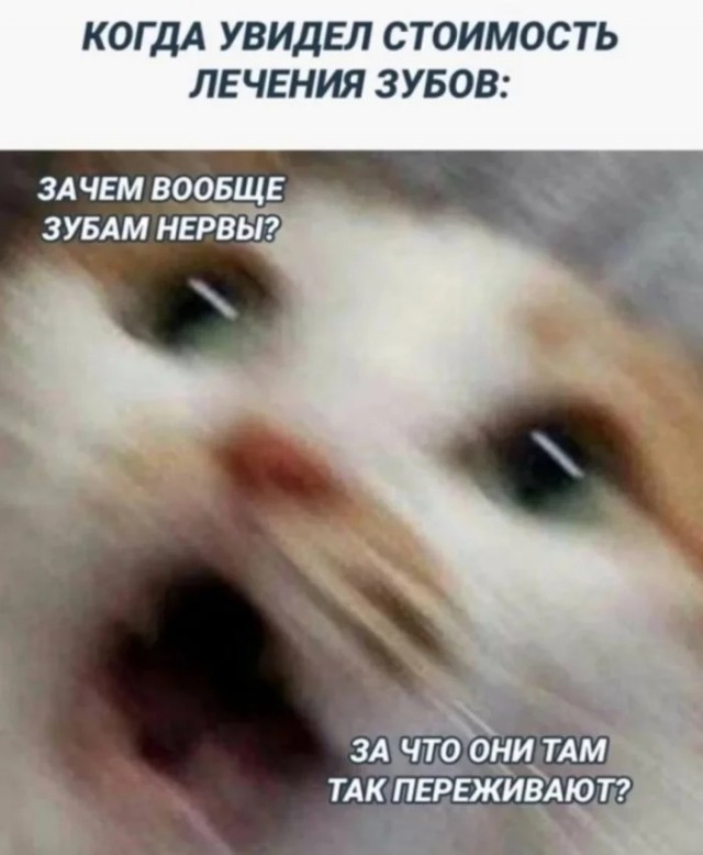 Немного мемчиков на сегодня из этих ваших инторнетов