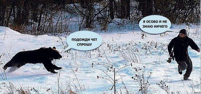 На Камчатке две подруги чуть было не сыграли в «Выжившего»: ими очень заинтересовался медведь и даже переплыл ради них реку
