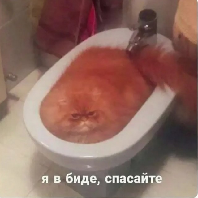Выгодное предложение, а нос воротит.