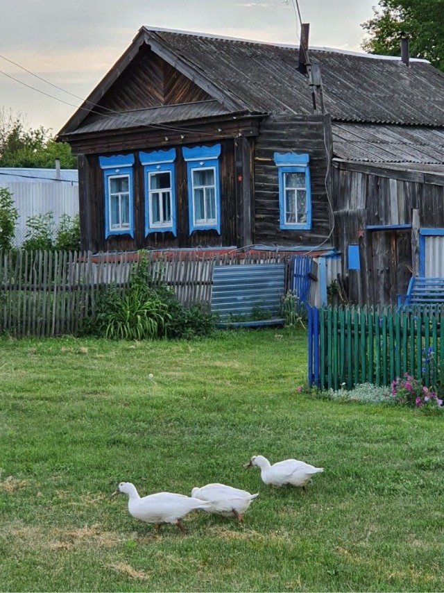 Прикольные и просто красивые картинки 12.08.2025