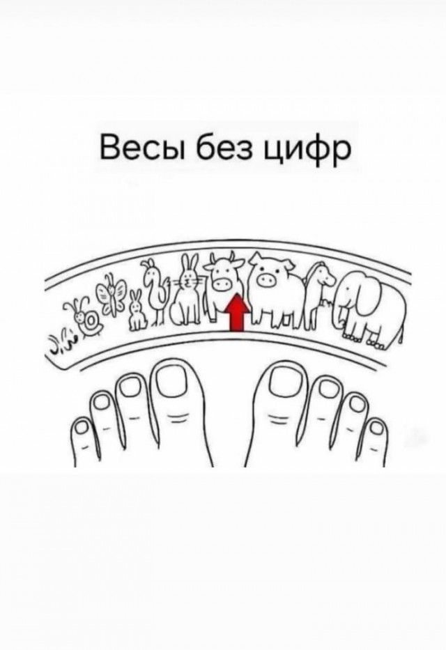 Нуштош 27.08.2025. Когнитивный декаданс (s4e8)