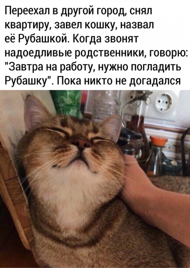 Четверг . Картинки для бодрого утра