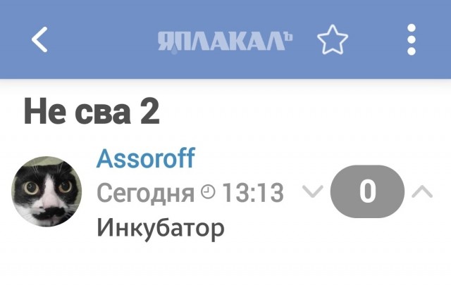 Не сова 2