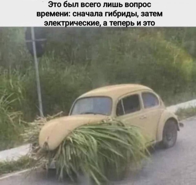 Пятничные картинки