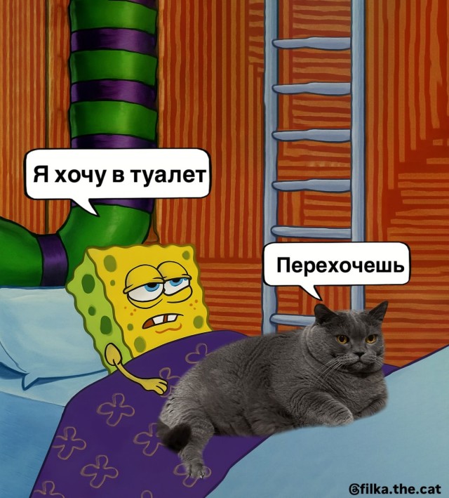 Картинки для деградации 133 (разной степени свежести)