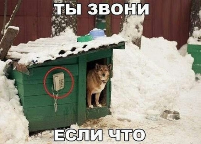 Так себе картинки 06.02.26