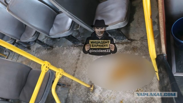 В Барнауле пассажирка маршрутки сходила в туалет на глазах у удивленных горожан