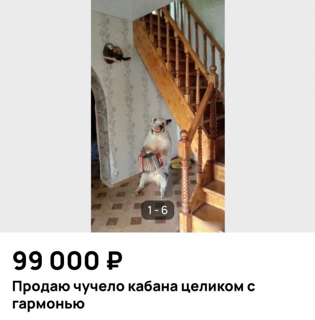 Хочу и себе. Не знаю зачем