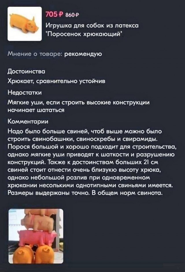 Нуштош. Познание как то, чего следует остерегаться во избежание нервного срыва (s5e6)