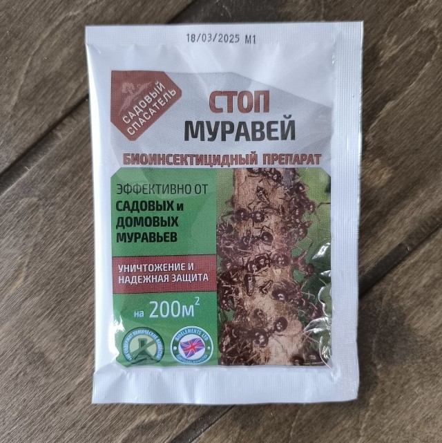 Муравьи в доме!