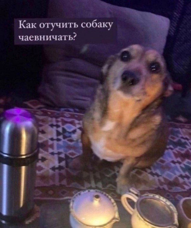 Веселые картинки в пятницу (17.04)