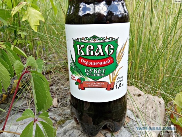 Квас Сука!