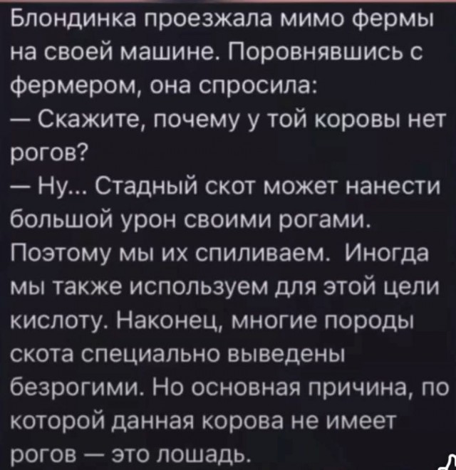 Веселые картинки в маленькую пятницу (13.05)