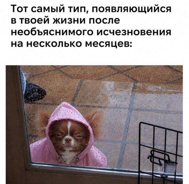 Картинки для деградации 246 (разной степени свежести)