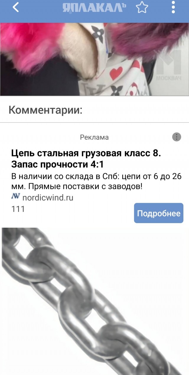 Велосипедиста, насмерть сбившего собаку в Москве, оштрафуют «за порчу имущества»