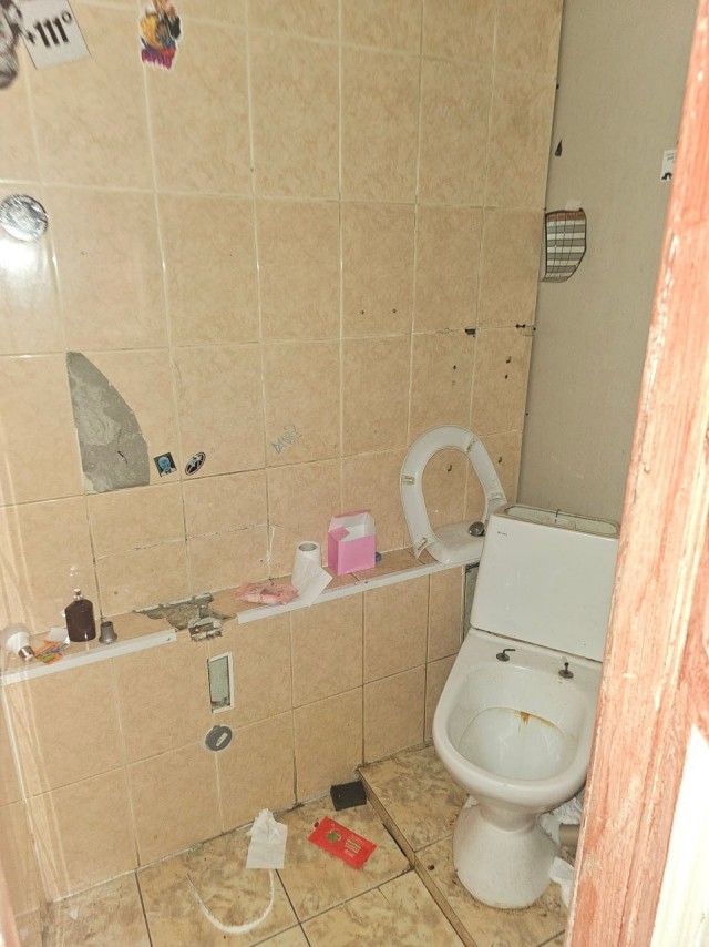 Дружбодомик питерских альтушек