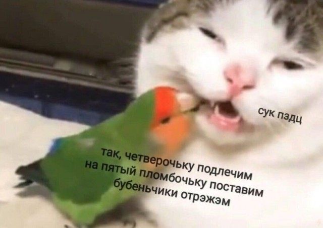 Зубная боль утихнет сразу после того, как вы увидите чек