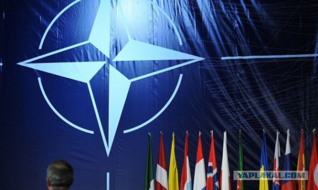 НАТО стоит на грани раскола из-за России