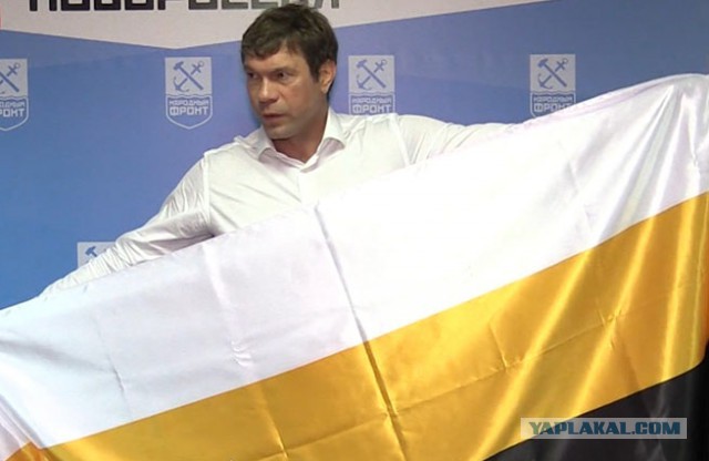 Олег Царев представил новый флаг Новороссии