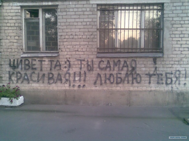 Не ждали?