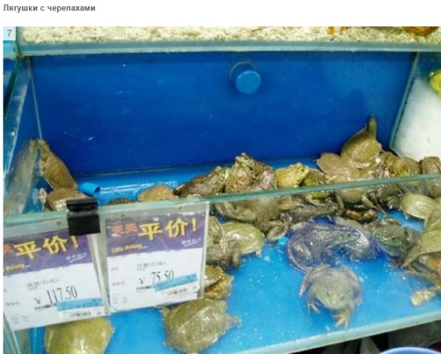 Типичные продукты китайского супермаркета