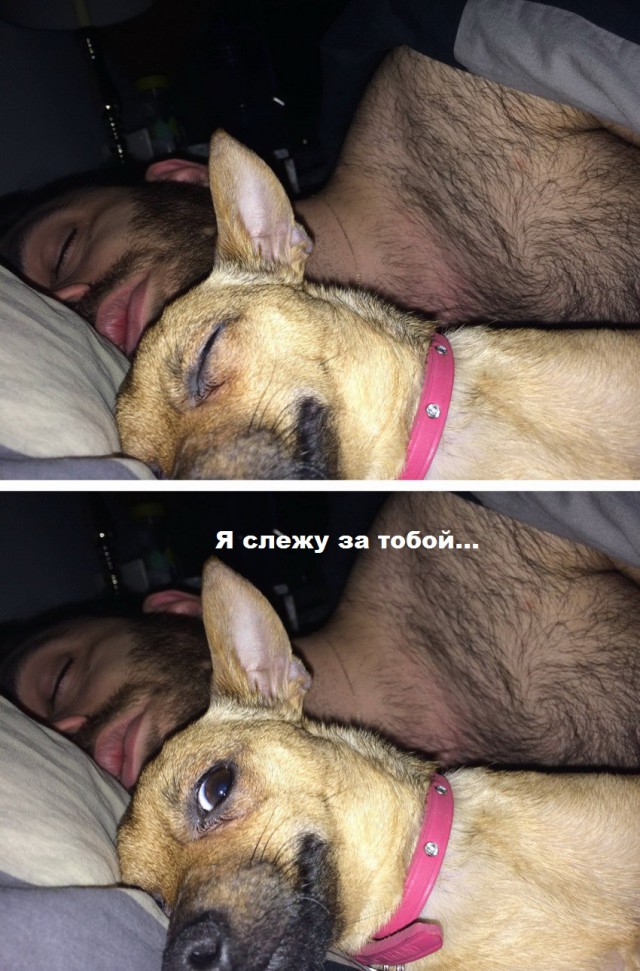 Для любителей спать в обнимку