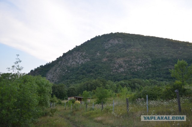 Поездка в Крым. Отчет