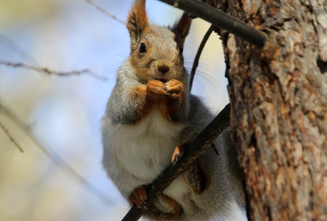 Подборка интересных и веселых фото