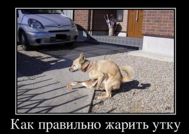 Догоню! Сейчас догоню!