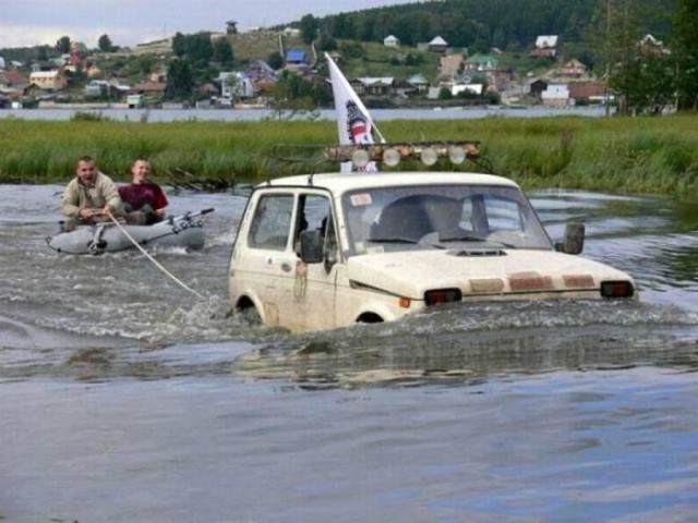 Прикольные и веселые картинки