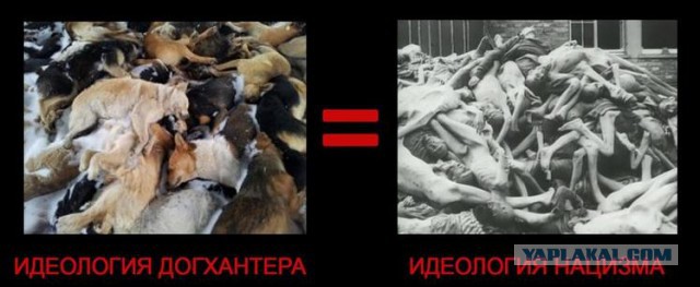 За издевательства над животными только тюрьма: срок от двух до семи лет!