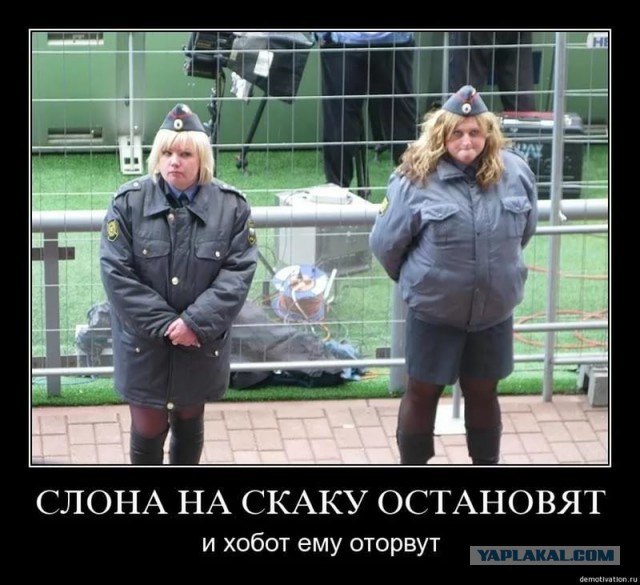Красит ли форма женщину? 22 варианта