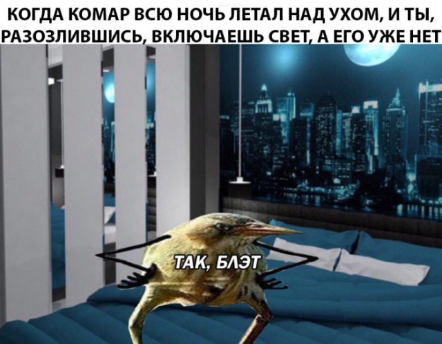 Подборка интересных и веселых картинок