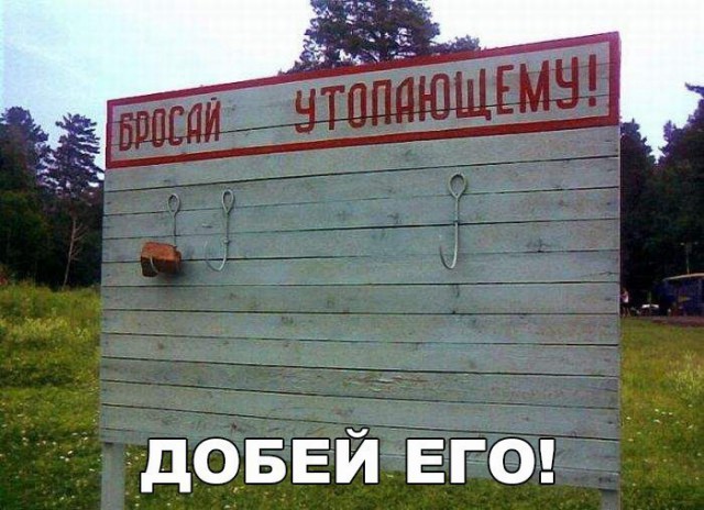 100 картинок для поднятия настроения!