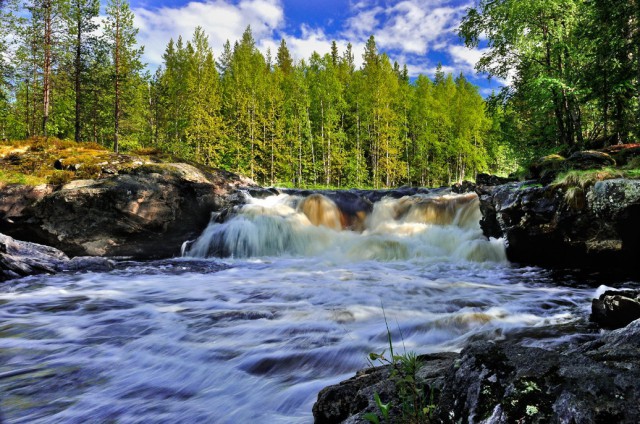 Просто Природа