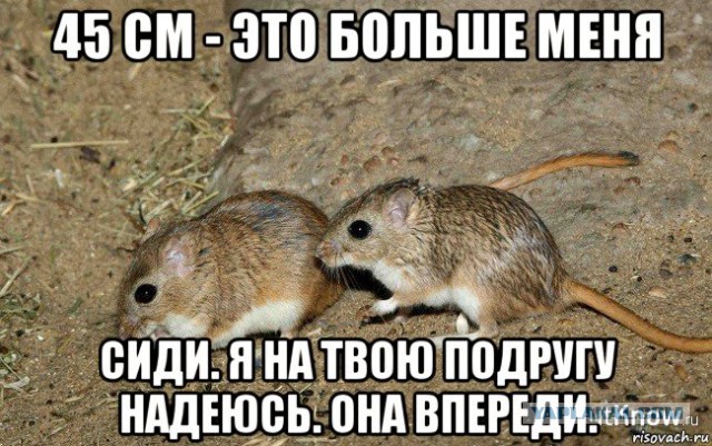 Прелести холостяцкой жизни