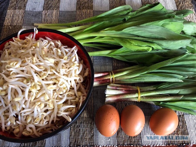 Черемша - полезная и вкусная:)
