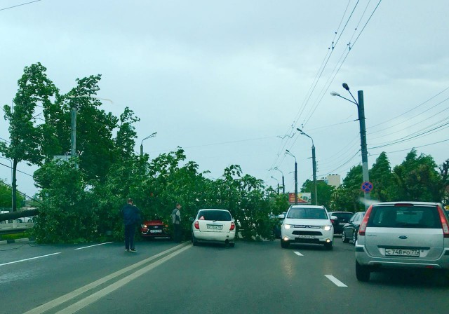 В Нижнем Новгороде ураган вырывает деревья с корнем и переворачивает машины