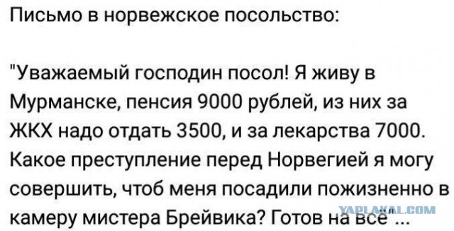 31% молодежи хочет эмигрировать из России