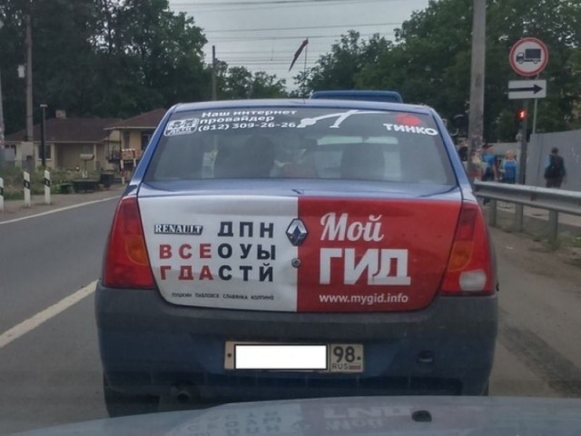 Лента прикольных картинок