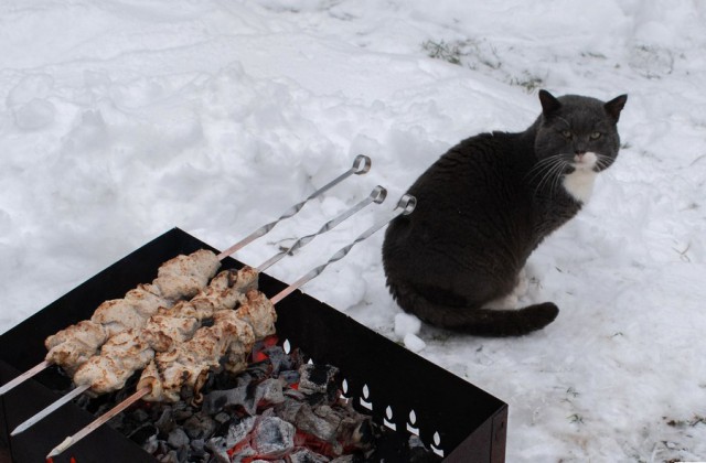 Подборка интересных и веселых картинок 10.12.18