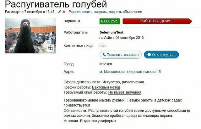 Продаваны-хитрые и беспринципные