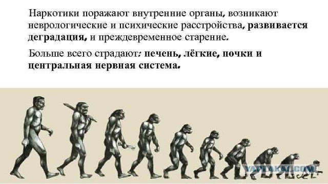 Как я/мы на свадьбу не пойдем