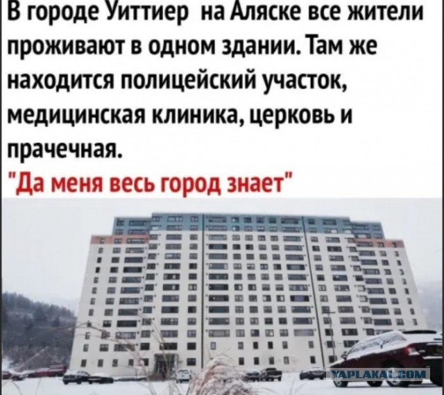Бредзона 12.01.20
