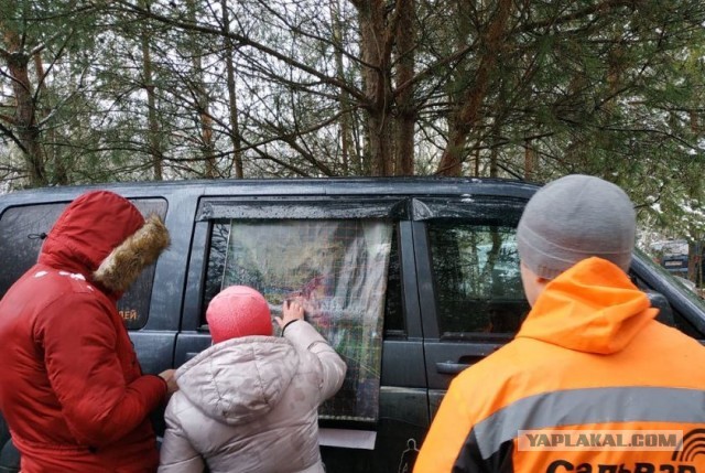 В демидовском лесу нашли предположительный труп Влада Бахова