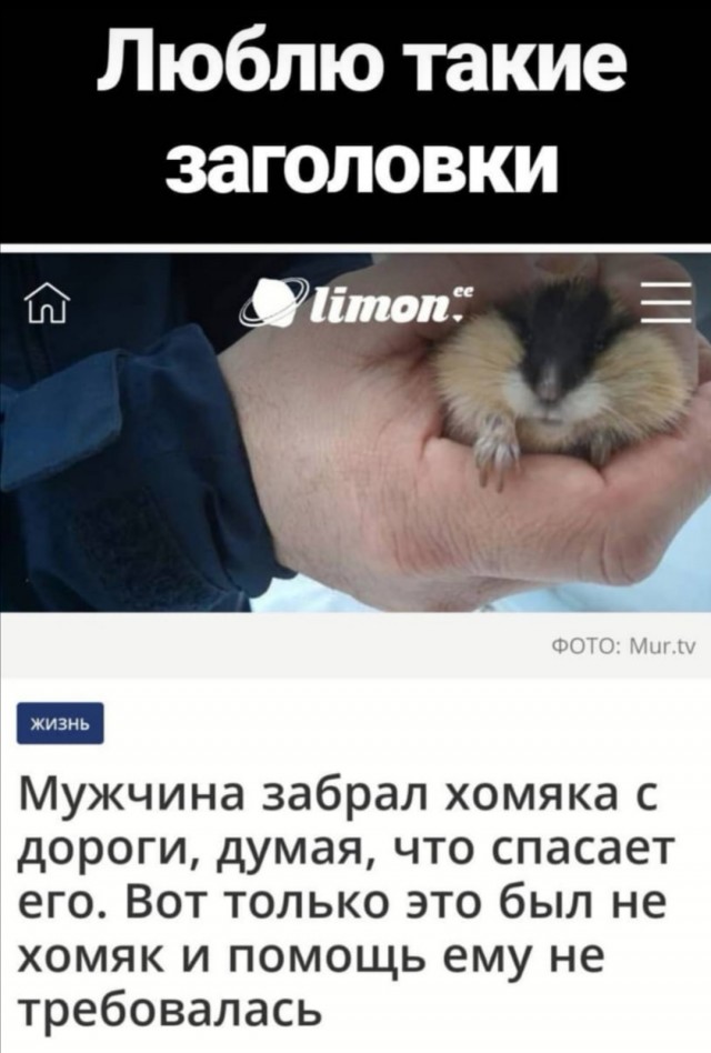 Немного картинок для настроения 07.04.20