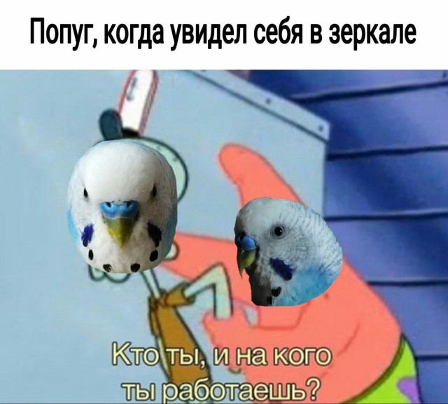 Зверушки
