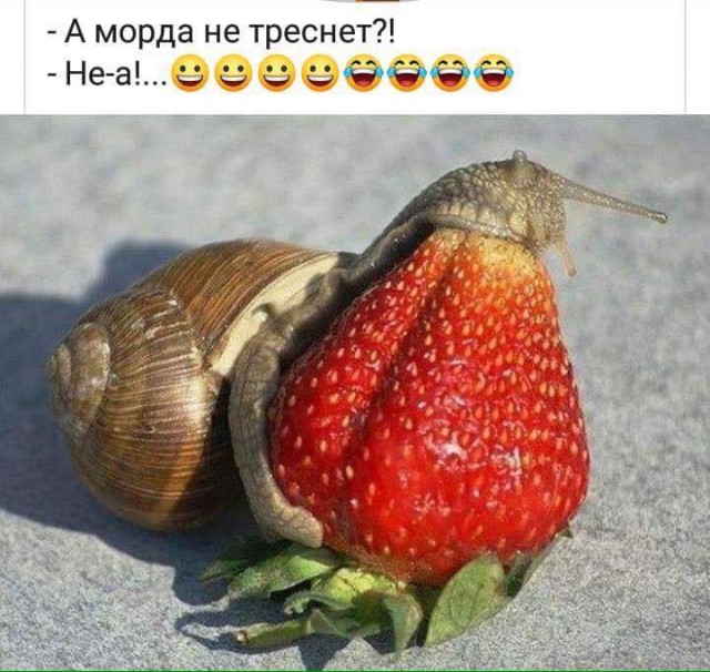 Позитивные картинки на 15.06.2020