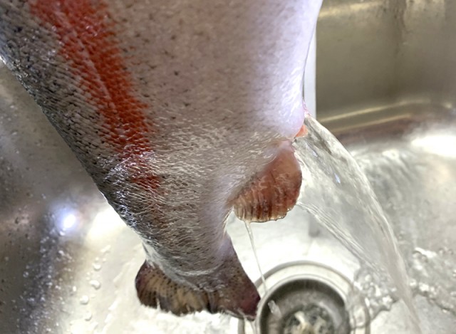 Слушай, я тебе один умный вещь скажу, только ты не обижайся